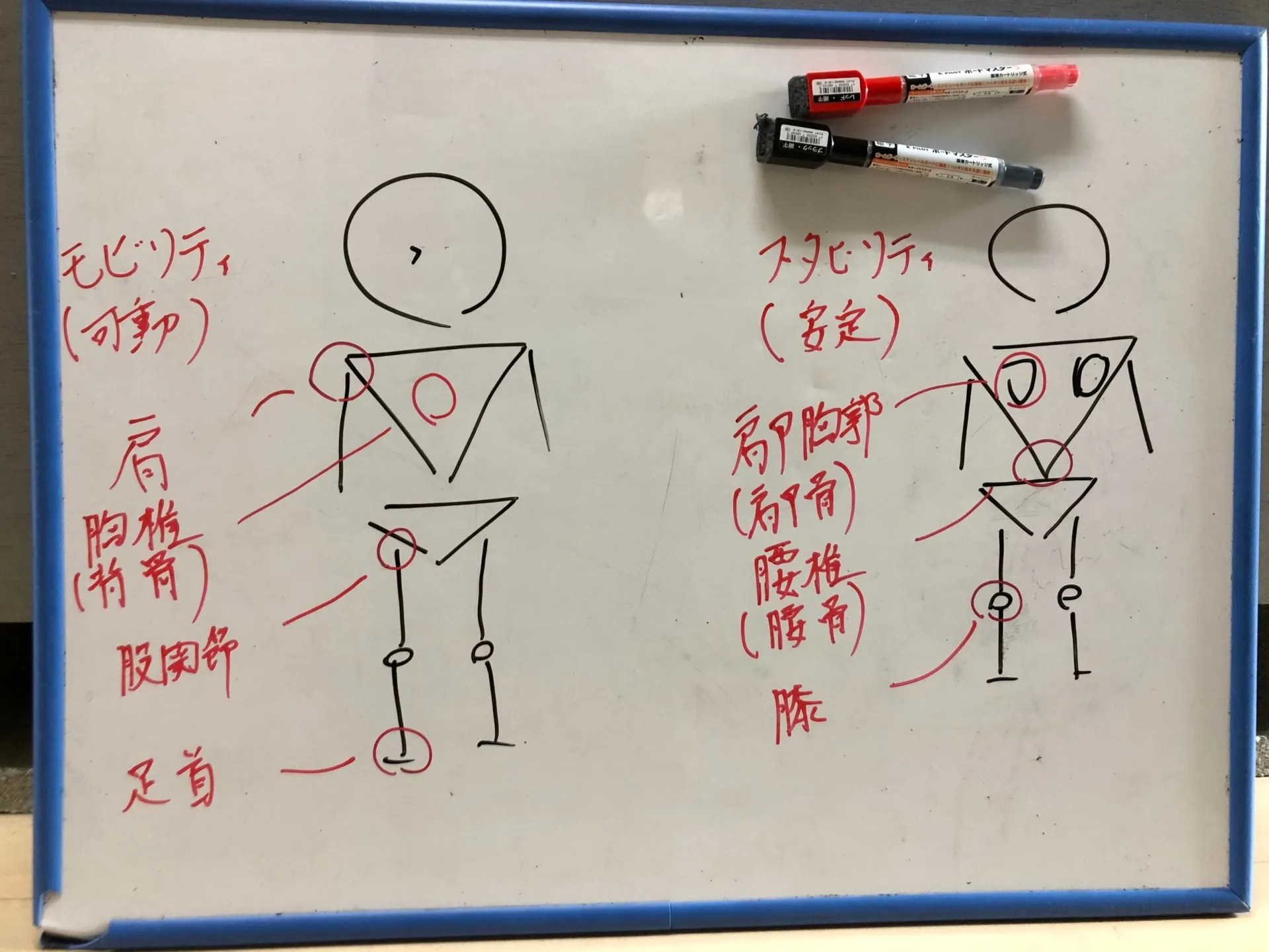 「スイングで胸が回らない原因と改善法｜捻りを引き出す体幹トレーニング」